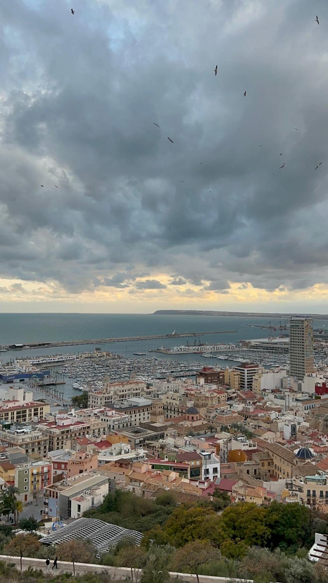La Reina Apartment By The Sea Alicante Exteriör bild